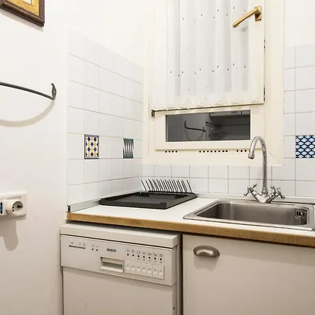 Youhosty - Coni Zugna G 12 *